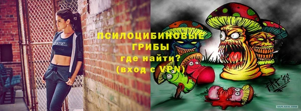 2c-b Кукмор