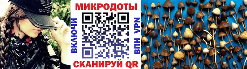 Псилоцибиновые грибы мухоморы  дарк нет состав  Прокопьевск  наркошоп 